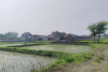 Sale Tanah: Tanah Panyileukan