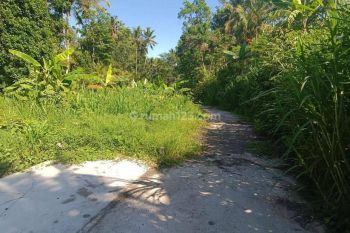 TANAH TERMURAH DI UBUD AREA COCOK KOMPLEK VILLA