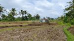 thumbnail-dijual-tanah-di-tegallalang-utara-ubud-view-full-sawah-11