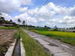 thumbnail-dijual-tanah-strategis-prospektiv-view-sawah-dekat-kopi-klotok-3