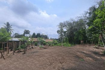 Butuh Uang Cepat !! Tanah Jogja, Dekat Kampus UII Jalan Kaliurang, 1 Jutaan/m2