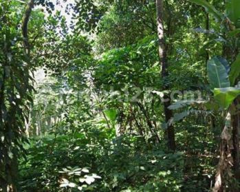 Dijual Tanah Zona Industri Lokasi Boyolali Luas 3 Hektar