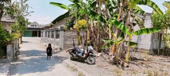 Dijual tanah murah milik sendiri