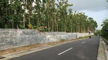 Tanah kosong 5445 m bonus 550 pohon jati pinggir jalan utama Sumbang