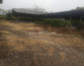 Dijual Murah Tanah 21 Hektar Di Magetan Dekat Pegunungan