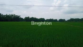 TANAH ZONA INDUSTRI NGANJUK