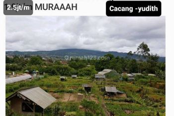Kavling di mainroad sersan bajuri dijual murah