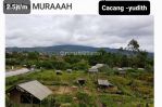 thumbnail-kavling-di-mainroad-sersan-bajuri-dijual-murah-0