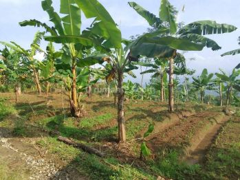 Lokasi Buat usaha Masa panjang Sejuk View Gunung di cianjur