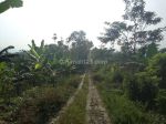 thumbnail-lokasi-buat-usaha-masa-panjang-sejuk-view-gunung-di-cianjur-1