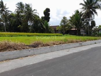 Jual Tanah Borobudur Magelang, View Sawah Rasa Ubud Bali
