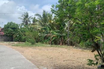 Tanah Dekat Bandara Yia Kulonprogo Jogja, 1 Jutaan P