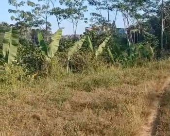 Dijual Tanah Murah Siap Bangun Poncokusumo Malang, SHM