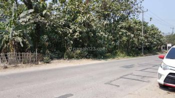 Tanah di Karawang Barat Jalan raya ...nego . Luas 1.1 hektar