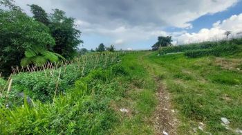 Dijual cepat tanah di mainroad Jl. Tangkuban Perahu, Bandung.