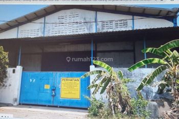 Gudang di Romokalisari industri