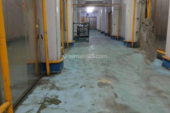 Gudang Pendingin Marunda