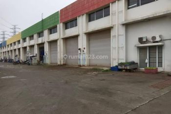 GUDANG GANDENG, DI KAWASAN, TUNAS BITUNG, TNGR, BANTEN