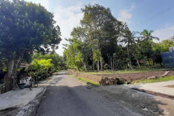 Kavling Jogja, Selatan UNY Wates, Cocok Bangun Rumah