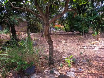 Dijual tanah SHM tegal belakang perumahan Pertamina Purwomartani