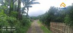 thumbnail-tanah-murah-view-super-istimewa-360-berada-di-desa-sumbergondo-4