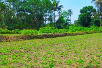 Tanah Jogja, 1 Jutaan M2, Hanya 9 Menit Ke Kampus Uii Pusat Jakal Jogja