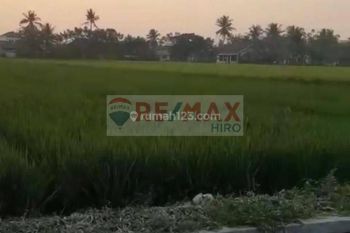 Tanah di Dekat Cikarang