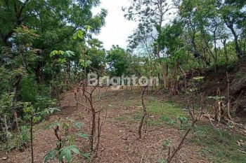Tanah Murah untuk Rumah daerah Bondalem Buleleng