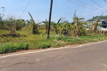 Tanah Strategis Temabalang Nempel Kampus Undip, Siap Bangun