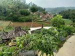 thumbnail-di-jual-vila-plus-kebun-murah-ciwidey-6