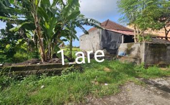Tanah View Sawah Kaba Kaba Kediri Tabanan