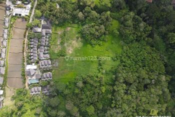 PREMIUM LAND CENTER UBUD JUNGLE VIEW KEREN