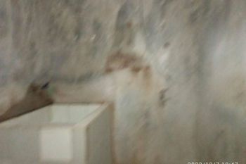 Disewakan rumah pertahun di gedog Sanan wetan bangunan lumayan minimalis