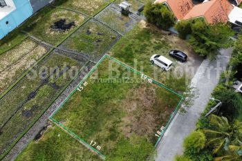 Land Sale Tanah di Kayu Tulang Selatan Canggu