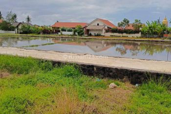 Villa for lease di seseh canggu kuta utara
