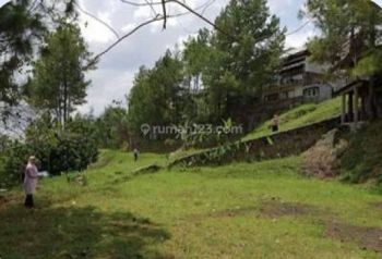 Teja Sukmana Tanah Asri Harga Dibawah Njop di Cigadung Bandung