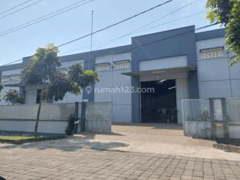 Gudang Bagus Bebas Banjir Siap Pakai di Kic Gatsu Semarang