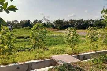 Tanah Murah Prospektif Seputar Gentan JL. Kaliurang Km. 10