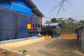 Tanah Dan Kandang Ayam di Singorojo, Kendal