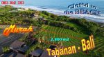 thumbnail-2300-m2-with-closed-to-the-beach-ocean-rice-fields-and-mountain-view-0