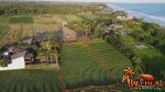 thumbnail-2300-m2-with-closed-to-the-beach-ocean-rice-fields-and-mountain-view-3