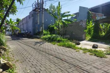 Dijual tanah resident komersil cocok guesthouse homestay di Kerobokan kelod