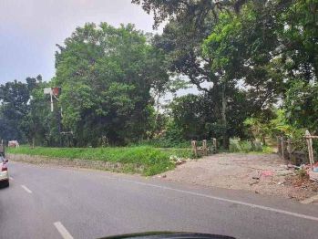 JUAL LAHAN PINGGIR JALAN SHM 1.3 KM DARI KAMPUS IPB BOGOR