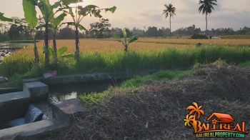 Peruntukan Villa 1,000 m2 Tanah Datar Akses Mobil