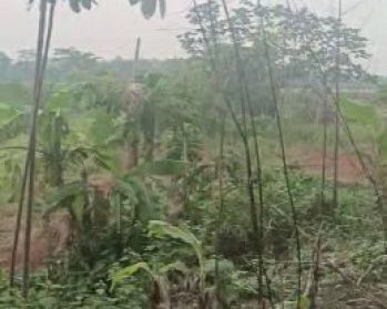 Tanah shm di setu bekasi dijual harga permeter(k1233)