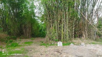 JUAL TANAH PEKARANGAN TANPA PERANTARA