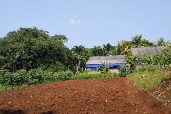 Kavling SHM Cibinong Murah Dekat Rs Bina Husada. 2 Jt An