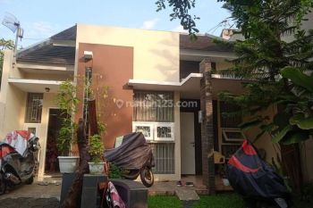 Rumah plus furnished janggli