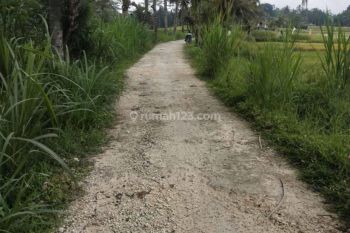 TANAH VIEW CANTIK COCOK VILLA PRIBADI DAN RENTAL