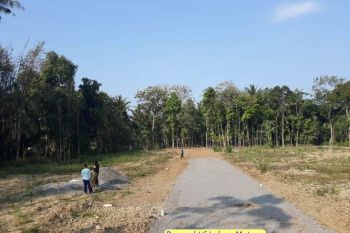 Kavling Dekat RSUD Cibinong 2 Jutaan. Cicil 12X Non Bunga